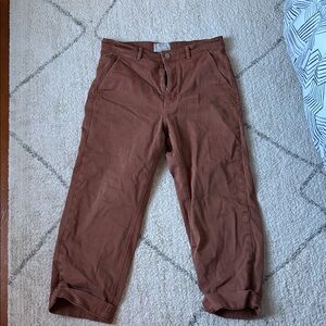 Everlane The Straight Leg Crop Utility Pant in Burn Orange, 14 Regular